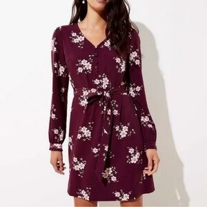 NWT Loft Dress 00 Petite